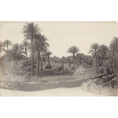 Rare collectable postcards of ALGERIA Algérie Belgique België. Vintage Postcards of ALGERIA Algérie Belgique België