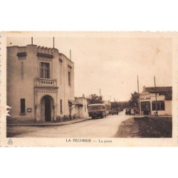 Rare collectable postcards of ALGERIA Algérie Belgique België. Vintage Postcards of ALGERIA Algérie Belgique België