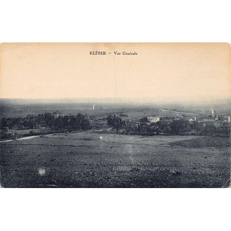 Rare collectable postcards of ALGERIA Algérie Belgique België. Vintage Postcards of ALGERIA Algérie Belgique België