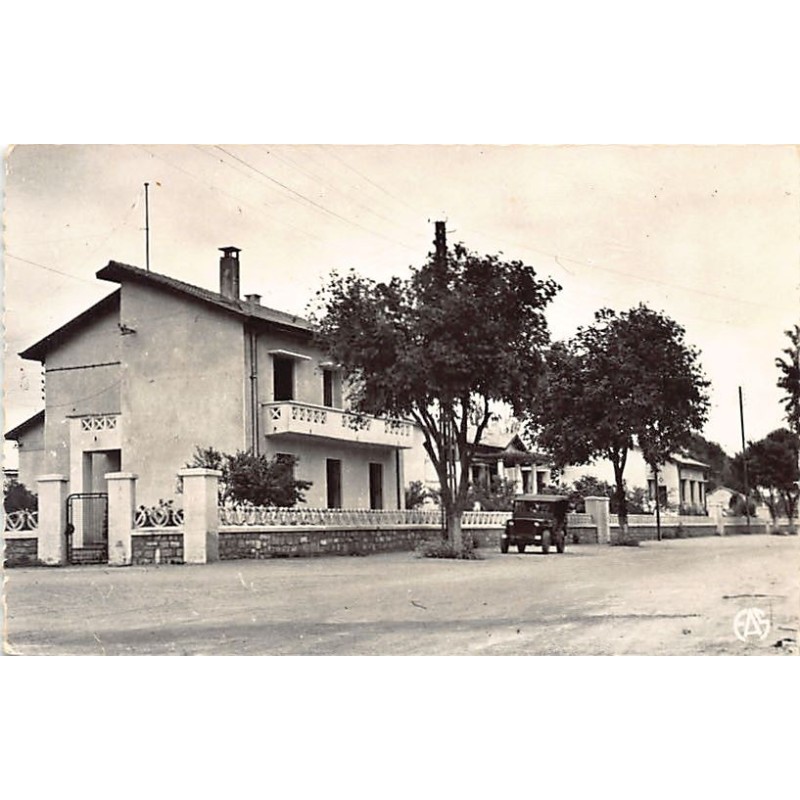 Rare collectable postcards of ALGERIA Algérie Belgique België. Vintage Postcards of ALGERIA Algérie Belgique België