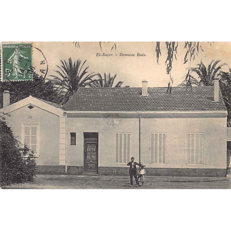 Rare collectable postcards of ALGERIA Algérie Belgique België. Vintage Postcards of ALGERIA Algérie Belgique België