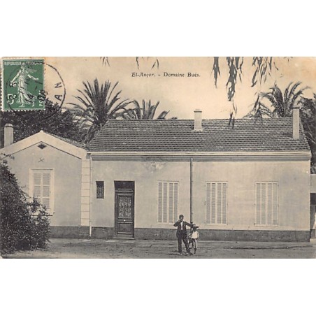 Rare collectable postcards of ALGERIA Algérie Belgique België. Vintage Postcards of ALGERIA Algérie Belgique België