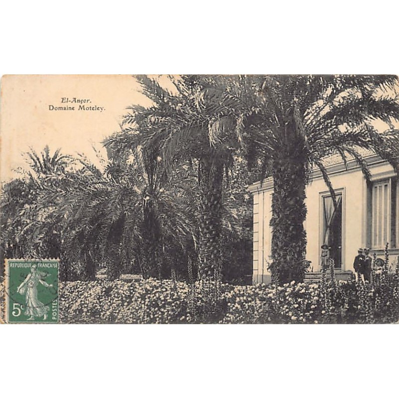 Rare collectable postcards of ALGERIA Algérie Belgique België. Vintage Postcards of ALGERIA Algérie Belgique België