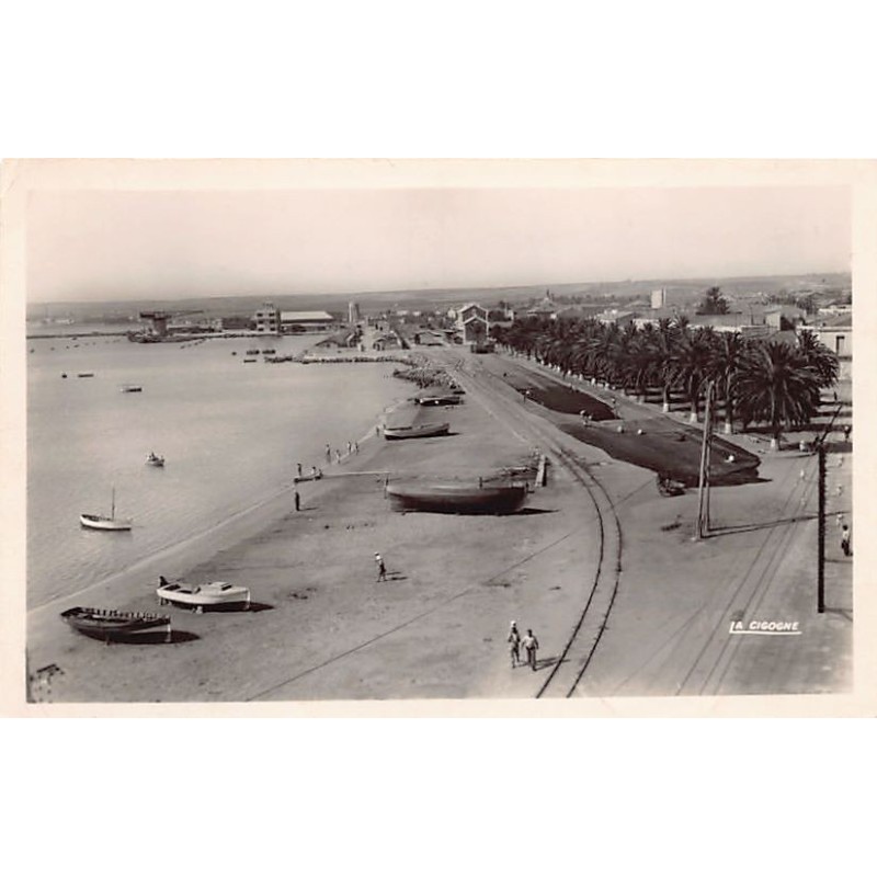 Rare collectable postcards of ALGERIA Algérie Belgique België. Vintage Postcards of ALGERIA Algérie Belgique België