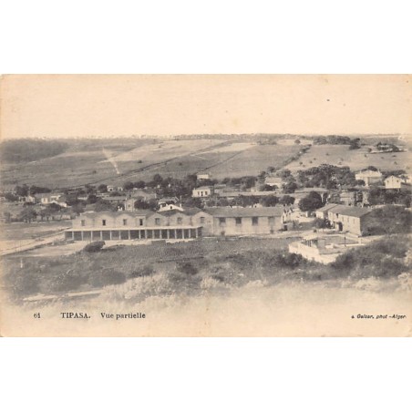 Rare collectable postcards of ALGERIA Algérie Belgique België. Vintage Postcards of ALGERIA Algérie Belgique België