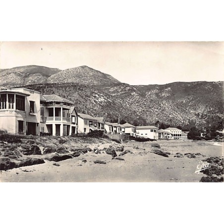 Rare collectable postcards of ALGERIA Algérie Belgique België. Vintage Postcards of ALGERIA Algérie Belgique België