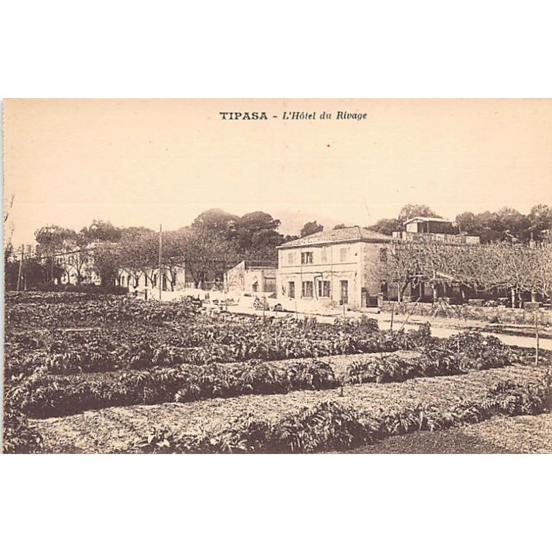 Rare collectable postcards of ALGERIA Algérie Belgique België. Vintage Postcards of ALGERIA Algérie Belgique België