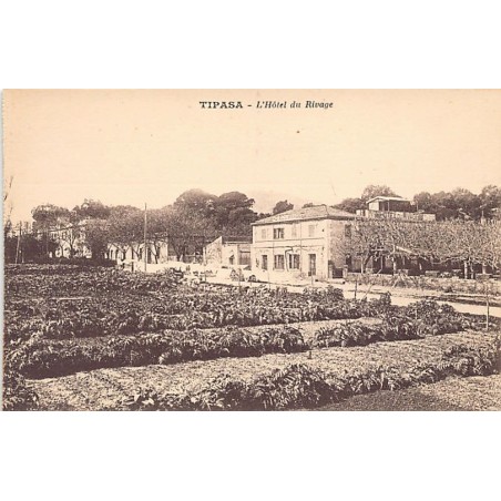 Rare collectable postcards of ALGERIA Algérie Belgique België. Vintage Postcards of ALGERIA Algérie Belgique België