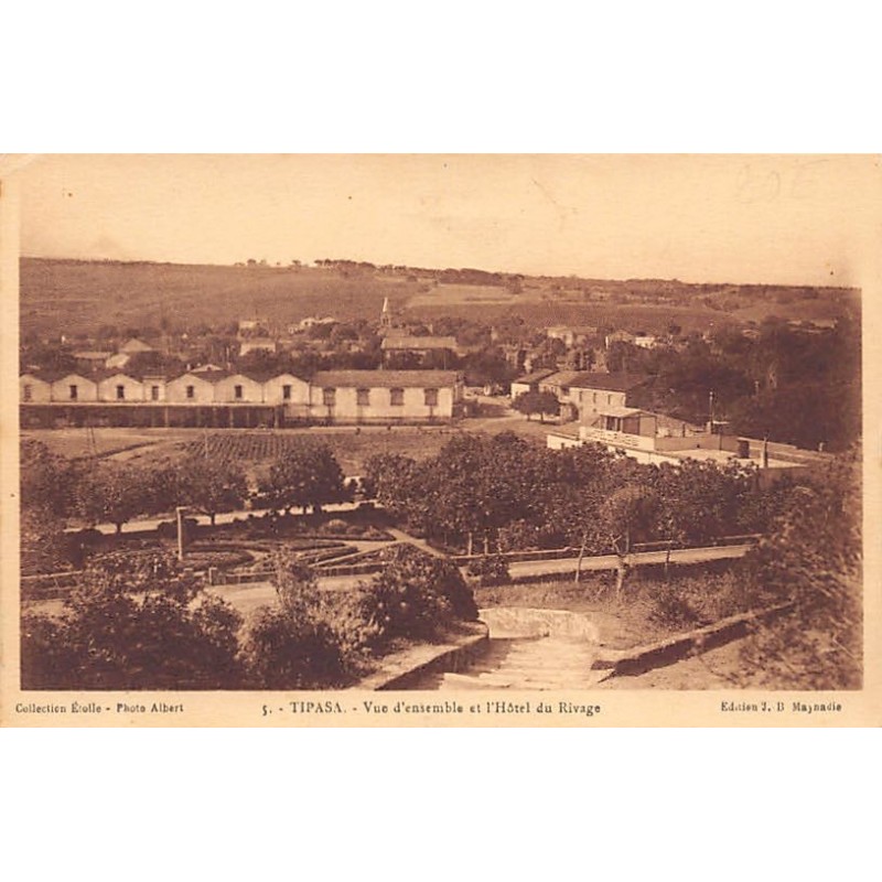 Rare collectable postcards of ALGERIA Algérie Belgique België. Vintage Postcards of ALGERIA Algérie Belgique België