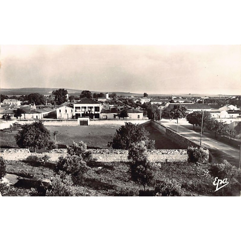 Rare collectable postcards of ALGERIA Algérie Belgique België. Vintage Postcards of ALGERIA Algérie Belgique België