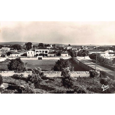 Rare collectable postcards of ALGERIA Algérie Belgique België. Vintage Postcards of ALGERIA Algérie Belgique België