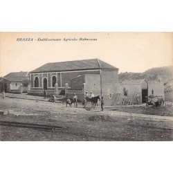 Rare collectable postcards of ALGERIA Algérie Belgique België. Vintage Postcards of ALGERIA Algérie Belgique België