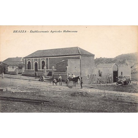 Rare collectable postcards of ALGERIA Algérie Belgique België. Vintage Postcards of ALGERIA Algérie Belgique België