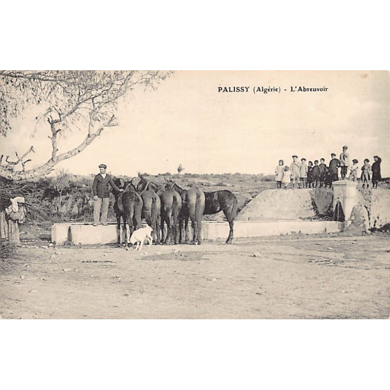 Rare collectable postcards of ALGERIA Algérie Belgique België. Vintage Postcards of ALGERIA Algérie Belgique België