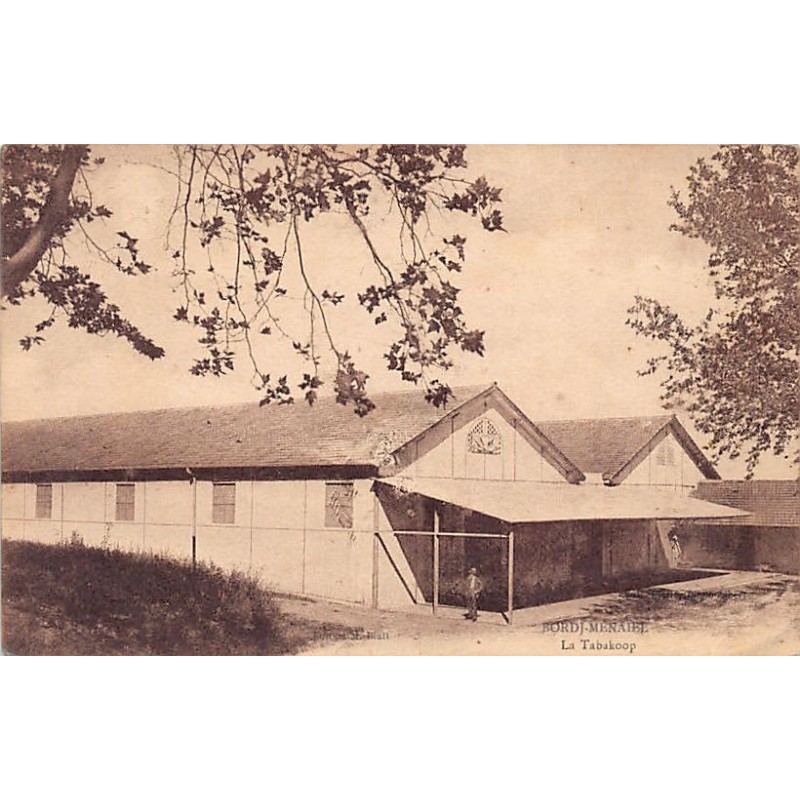 Rare collectable postcards of ALGERIA Algérie Belgique België. Vintage Postcards of ALGERIA Algérie Belgique België