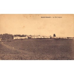 Rare collectable postcards of ALGERIA Algérie Belgique België. Vintage Postcards of ALGERIA Algérie Belgique België