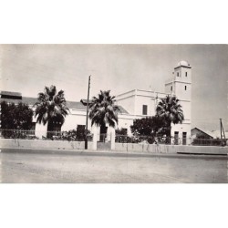 Rare collectable postcards of ALGERIA Algérie Belgique België. Vintage Postcards of ALGERIA Algérie Belgique België