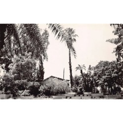 Rare collectable postcards of ALGERIA Algérie Belgique België. Vintage Postcards of ALGERIA Algérie Belgique België