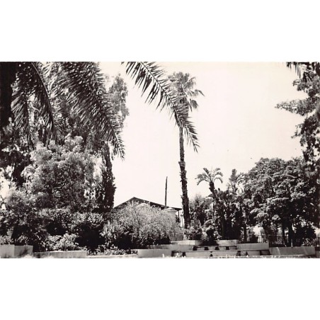 Rare collectable postcards of ALGERIA Algérie Belgique België. Vintage Postcards of ALGERIA Algérie Belgique België