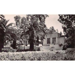 Rare collectable postcards of ALGERIA Algérie Belgique België. Vintage Postcards of ALGERIA Algérie Belgique België