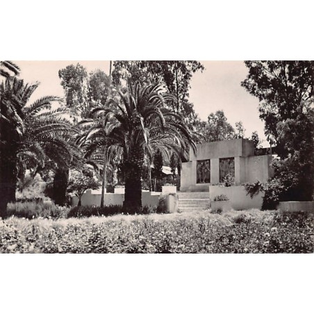 Rare collectable postcards of ALGERIA Algérie Belgique België. Vintage Postcards of ALGERIA Algérie Belgique België