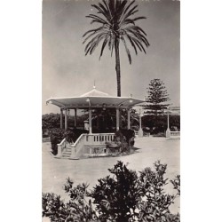 Rare collectable postcards of ALGERIA Algérie Belgique België. Vintage Postcards of ALGERIA Algérie Belgique België