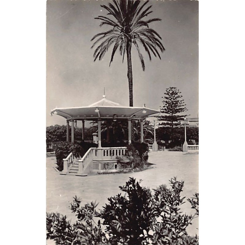 Rare collectable postcards of ALGERIA Algérie Belgique België. Vintage Postcards of ALGERIA Algérie Belgique België