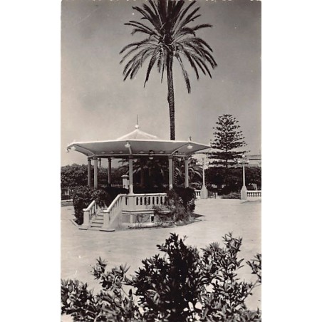 Rare collectable postcards of ALGERIA Algérie Belgique België. Vintage Postcards of ALGERIA Algérie Belgique België