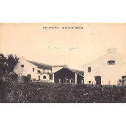 Rare collectable postcards of ALGERIA Algérie Belgique België. Vintage Postcards of ALGERIA Algérie Belgique België