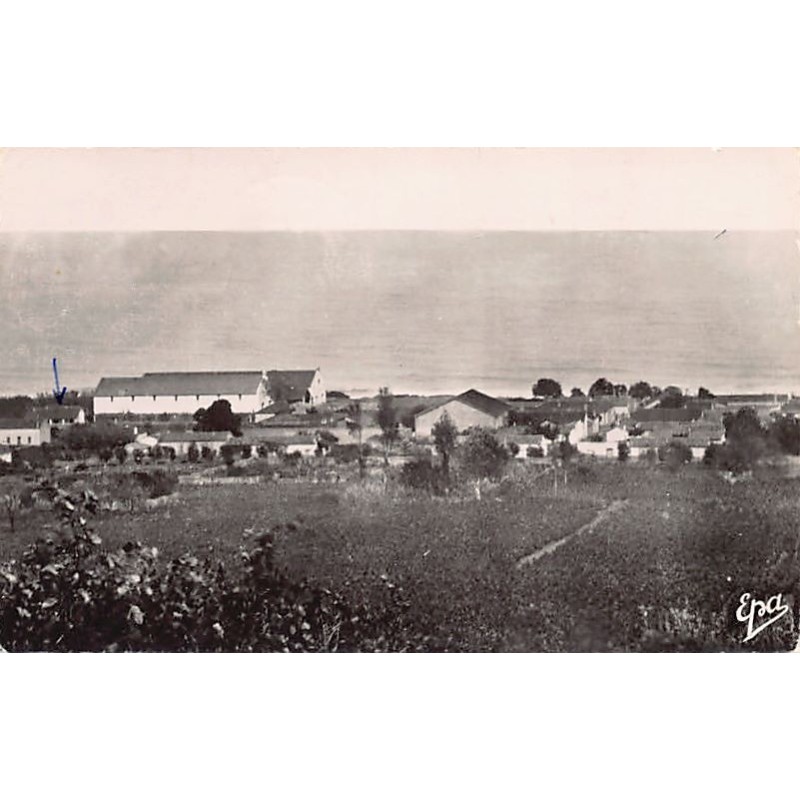 Rare collectable postcards of ALGERIA Algérie Belgique België. Vintage Postcards of ALGERIA Algérie Belgique België