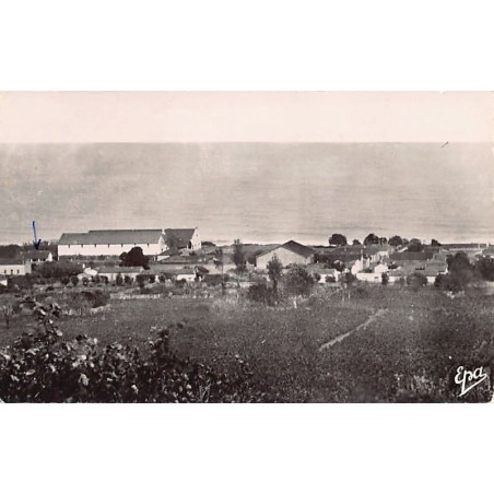 Rare collectable postcards of ALGERIA Algérie Belgique België. Vintage Postcards of ALGERIA Algérie Belgique België