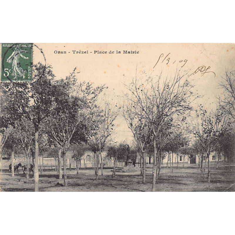 Rare collectable postcards of ALGERIA Algérie Belgique België. Vintage Postcards of ALGERIA Algérie Belgique België