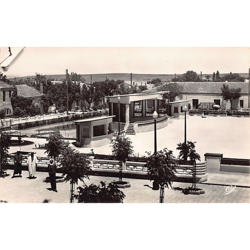 Rare collectable postcards of ALGERIA Algérie Belgique België. Vintage Postcards of ALGERIA Algérie Belgique België