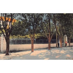 Rare collectable postcards of ALGERIA Algérie Belgique België. Vintage Postcards of ALGERIA Algérie Belgique België