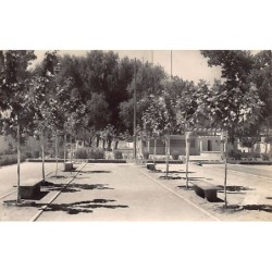 Rare collectable postcards of ALGERIA Algérie Belgique België. Vintage Postcards of ALGERIA Algérie Belgique België