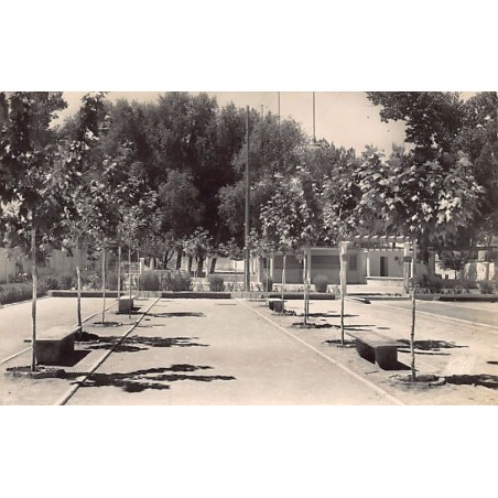 Rare collectable postcards of ALGERIA Algérie Belgique België. Vintage Postcards of ALGERIA Algérie Belgique België