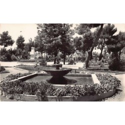 Rare collectable postcards of ALGERIA Algérie Belgique België. Vintage Postcards of ALGERIA Algérie Belgique België