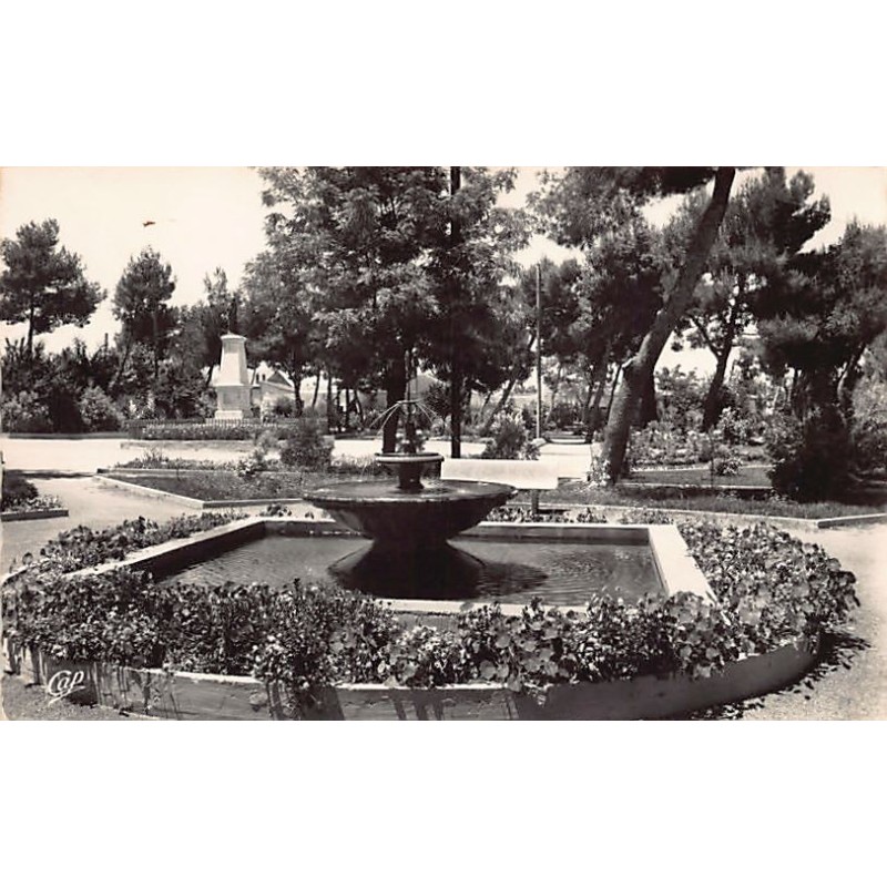 Rare collectable postcards of ALGERIA Algérie Belgique België. Vintage Postcards of ALGERIA Algérie Belgique België