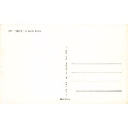 Rare collectable postcards of ALGERIA Algérie Belgique België. Vintage Postcards of ALGERIA Algérie Belgique België