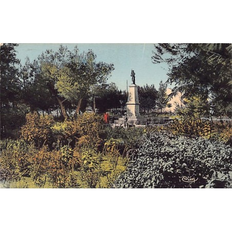 Rare collectable postcards of ALGERIA Algérie Belgique België. Vintage Postcards of ALGERIA Algérie Belgique België