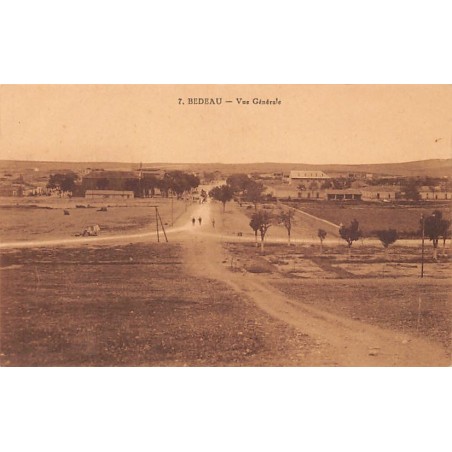 Rare collectable postcards of ALGERIA Algérie Belgique België. Vintage Postcards of ALGERIA Algérie Belgique België