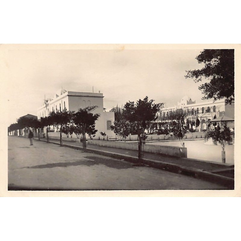 Rare collectable postcards of ALGERIA Algérie Belgique België. Vintage Postcards of ALGERIA Algérie Belgique België