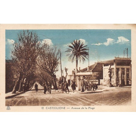 Rare collectable postcards of ALGERIA Algérie Belgique België. Vintage Postcards of ALGERIA Algérie Belgique België