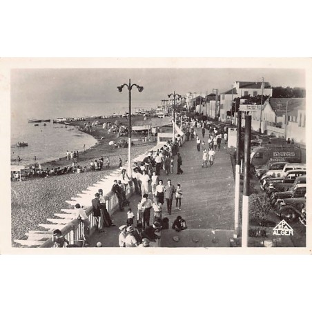 Rare collectable postcards of ALGERIA Algérie Belgique België. Vintage Postcards of ALGERIA Algérie Belgique België