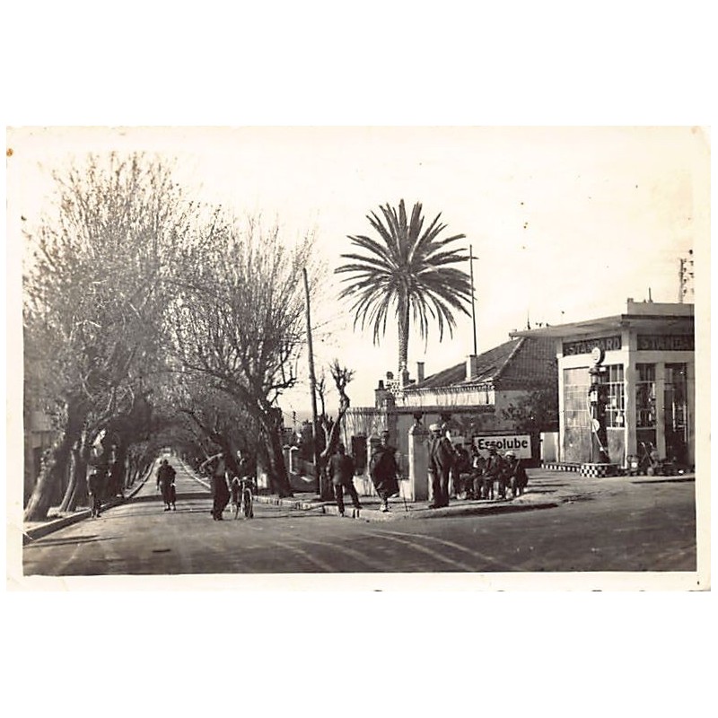 Rare collectable postcards of ALGERIA Algérie Belgique België. Vintage Postcards of ALGERIA Algérie Belgique België