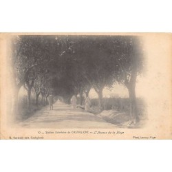 Rare collectable postcards of ALGERIA Algérie Belgique België. Vintage Postcards of ALGERIA Algérie Belgique België