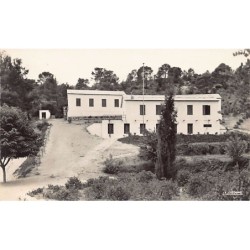 Rare collectable postcards of ALGERIA Algérie Belgique België. Vintage Postcards of ALGERIA Algérie Belgique België