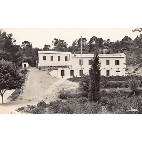 Rare collectable postcards of ALGERIA Algérie Belgique België. Vintage Postcards of ALGERIA Algérie Belgique België