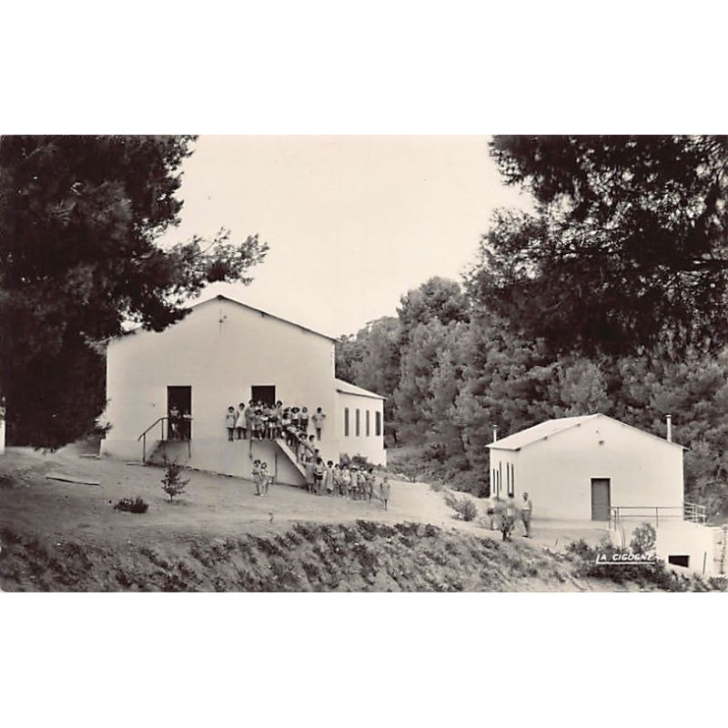 Rare collectable postcards of ALGERIA Algérie Belgique België. Vintage Postcards of ALGERIA Algérie Belgique België