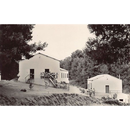 Rare collectable postcards of ALGERIA Algérie Belgique België. Vintage Postcards of ALGERIA Algérie Belgique België